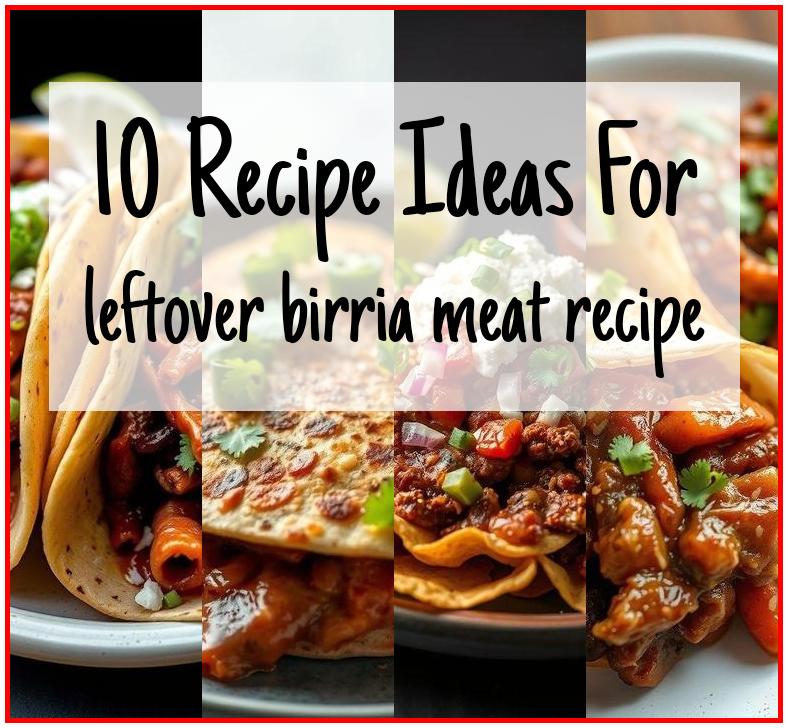 leftover birria meat recipe